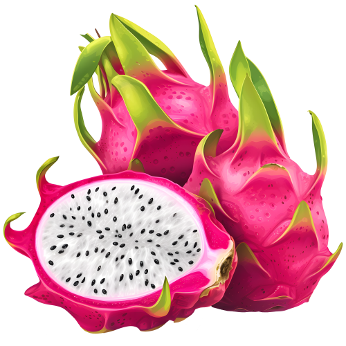 Fresh Dragon Fruit – Vibrant, Juicy & Refreshing Exotic Fruit