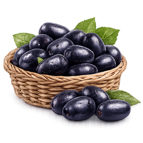 Fresh Java Plum (Jamun) – Tangy, Juicy & Antioxidant-Rich