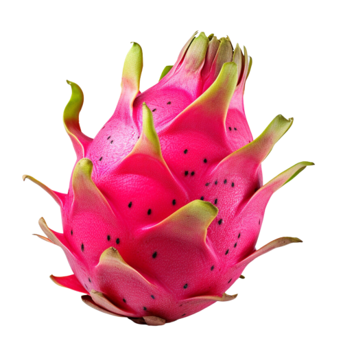 Premium Dragon Fruit – Exotic, Refreshing & Nutrient-Rich