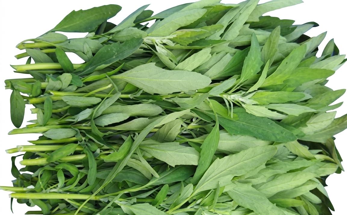 Fresh Bathua Saag – Farm Fresh Nutritious Winter Leafy Greens