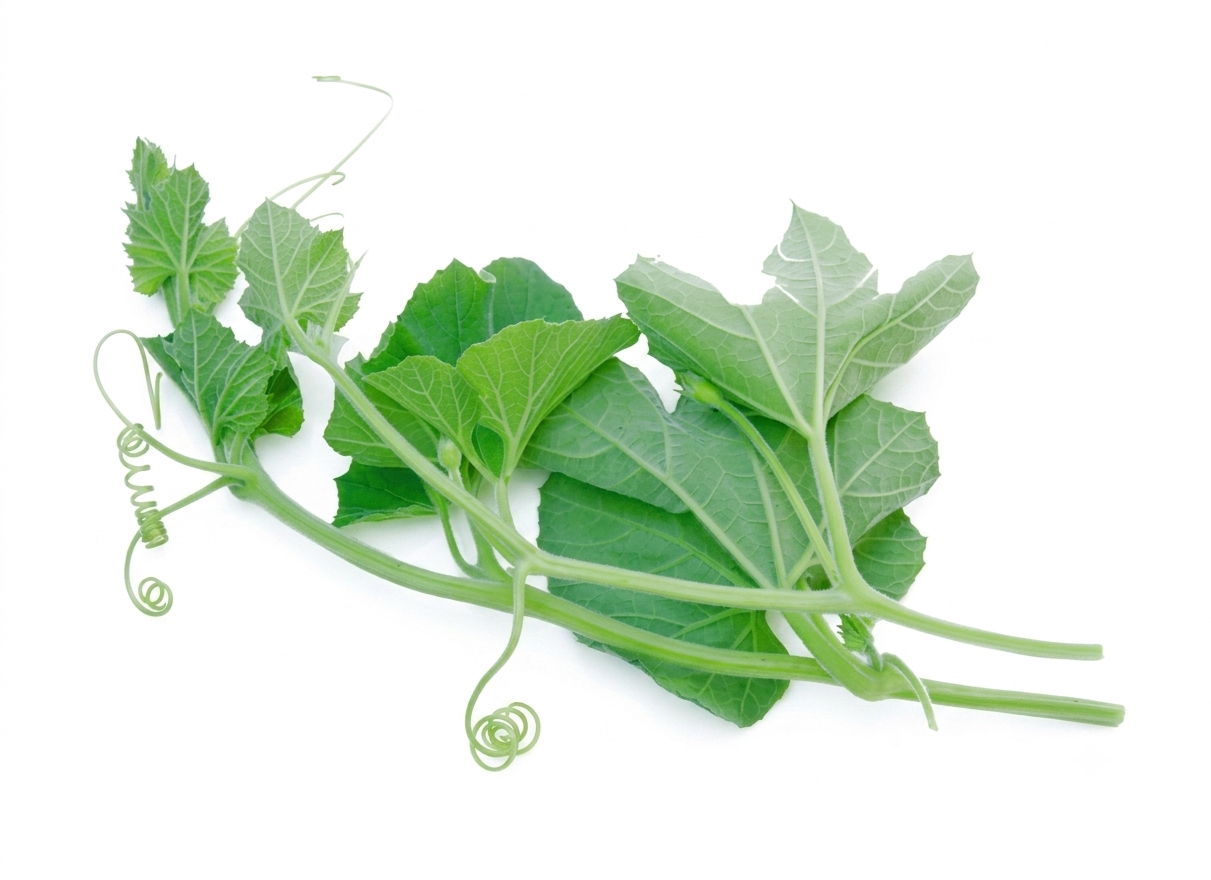 Fresh Lau Saag – Farm Fresh Bottle Gourd Leaves & Tender Shoots