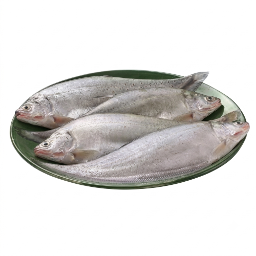 Fresh Foli Fish – Tender, Freshwater & Rich in Protein