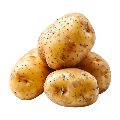 Premium Earth-Fresh Russet Potatoes