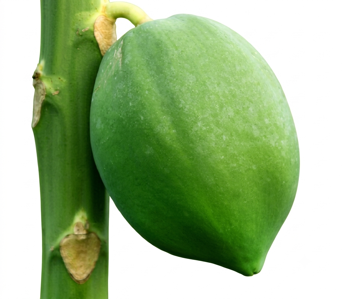 Fresh Raw Papaya (Pepe) – Farm Fresh, Tender & Nutritious Vegetable