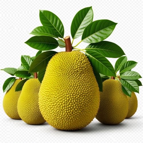Farm Fresh Jackfruit – Sweet, Aromatic & Naturally Nutritious