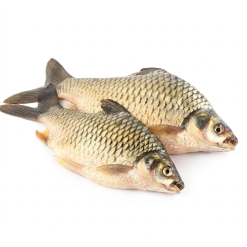 Fresh Saral Puti Fish – Small Freshwater Fish, Rich in Protein & Calcium