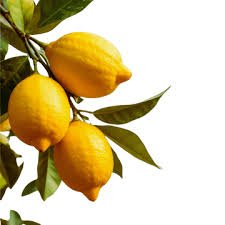 Fresh Kagzi Lemon – Juicy, Tangy & Refreshing