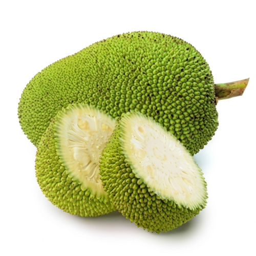 Fresh Green Jackfruit  ( kacha kathal )– Tender, Meaty & Perfect for Traditional Indian Curries