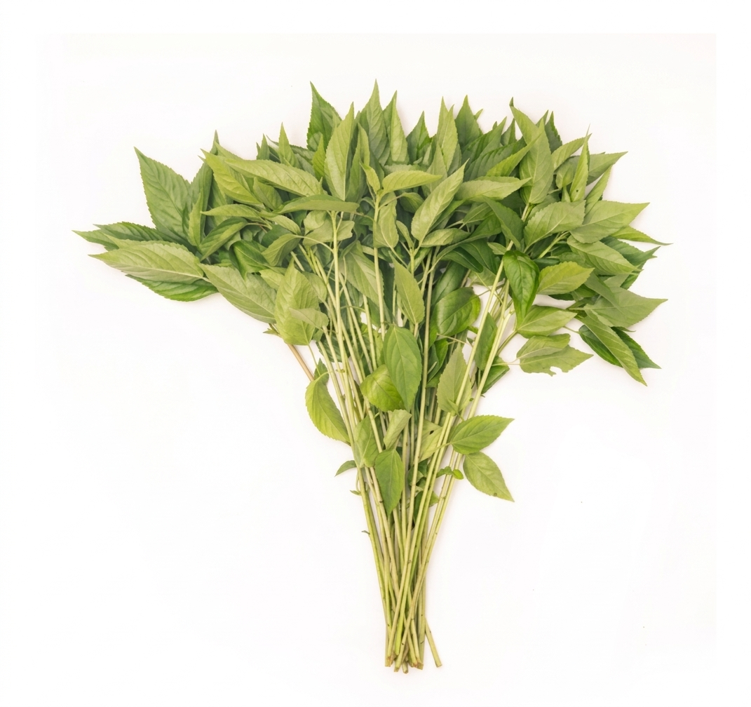 Fresh Pat Saag (Jute Leaves) – Farm Fresh Nutritious Green Leafy Vegetable