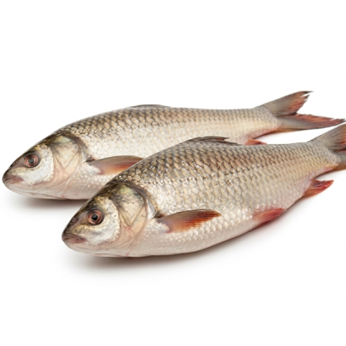 Fresh Local Rui – Tender, Flavorful & Perfect for Traditional Bengali Fish Curry