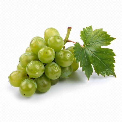 Fresh Premium Grapes – Sweet, Juicy & Rich in Natural Antioxidants