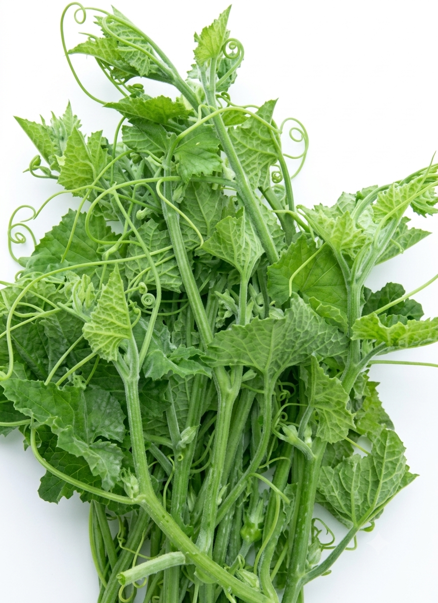 Fresh Lau Saag – Farm Fresh Bottle Gourd Leaves & Tender Shoots