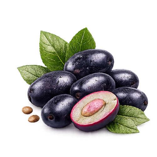 Fresh Java Plum (Jamun) – Tangy, Juicy & Antioxidant-Rich