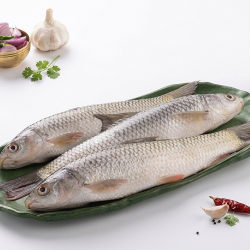 Fresh Mrigal Fish – Tender, Nutritious & Farm Fresh