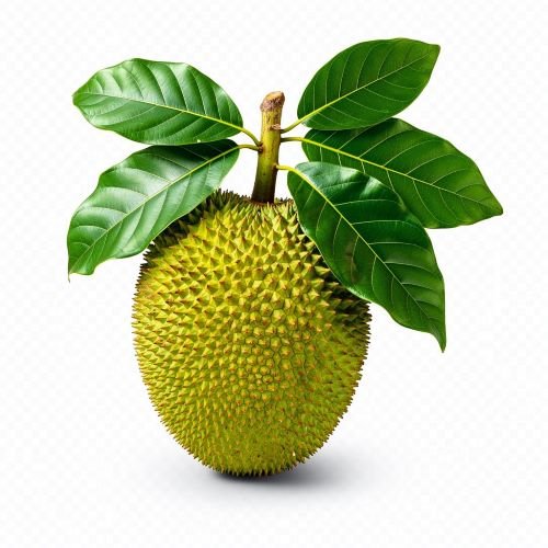 Farm Fresh Jackfruit – Sweet, Aromatic & Naturally Nutritious