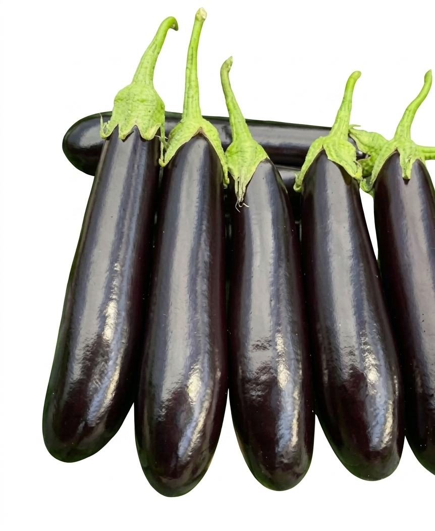 Fresh Begun (Brinjal) – Farm Fresh, Tender & Premium Eggplant