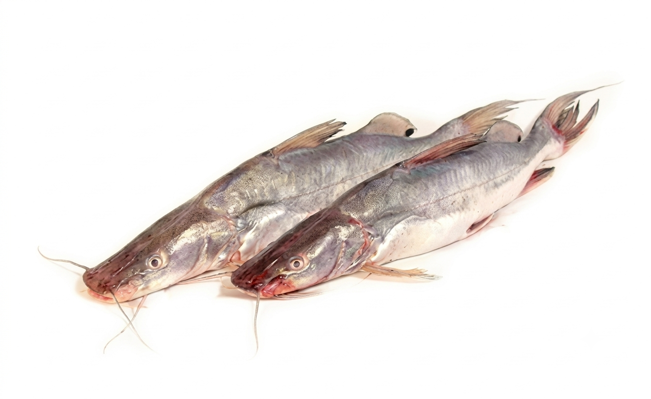 Fresh Aar Mach cut pieces – Tender, Flavorful & Perfect for Bengali-Style Fish Curry