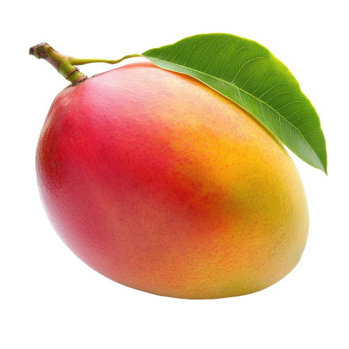 Fresh & Naturally Ripened Mangoes