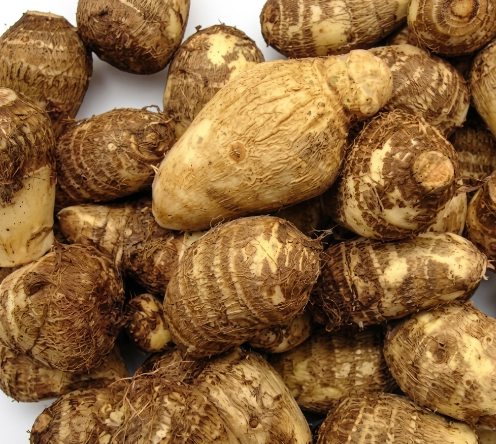 Fresh Suji Kochu – Farm Fresh Small Taro Root for Traditional Cooking