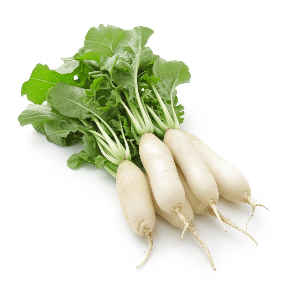 Fresh Mula (Radish) – Farm Fresh, Crisp & Nutritious Root Vegetable