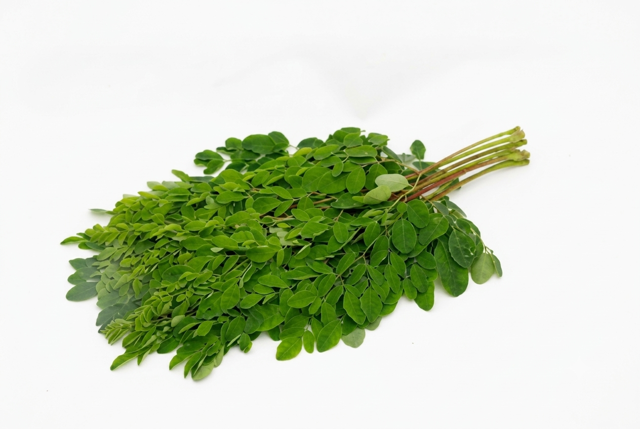 Fresh Sajne Pata (Drumstick Leaves) – Farm Fresh Nutritious Moringa Greens