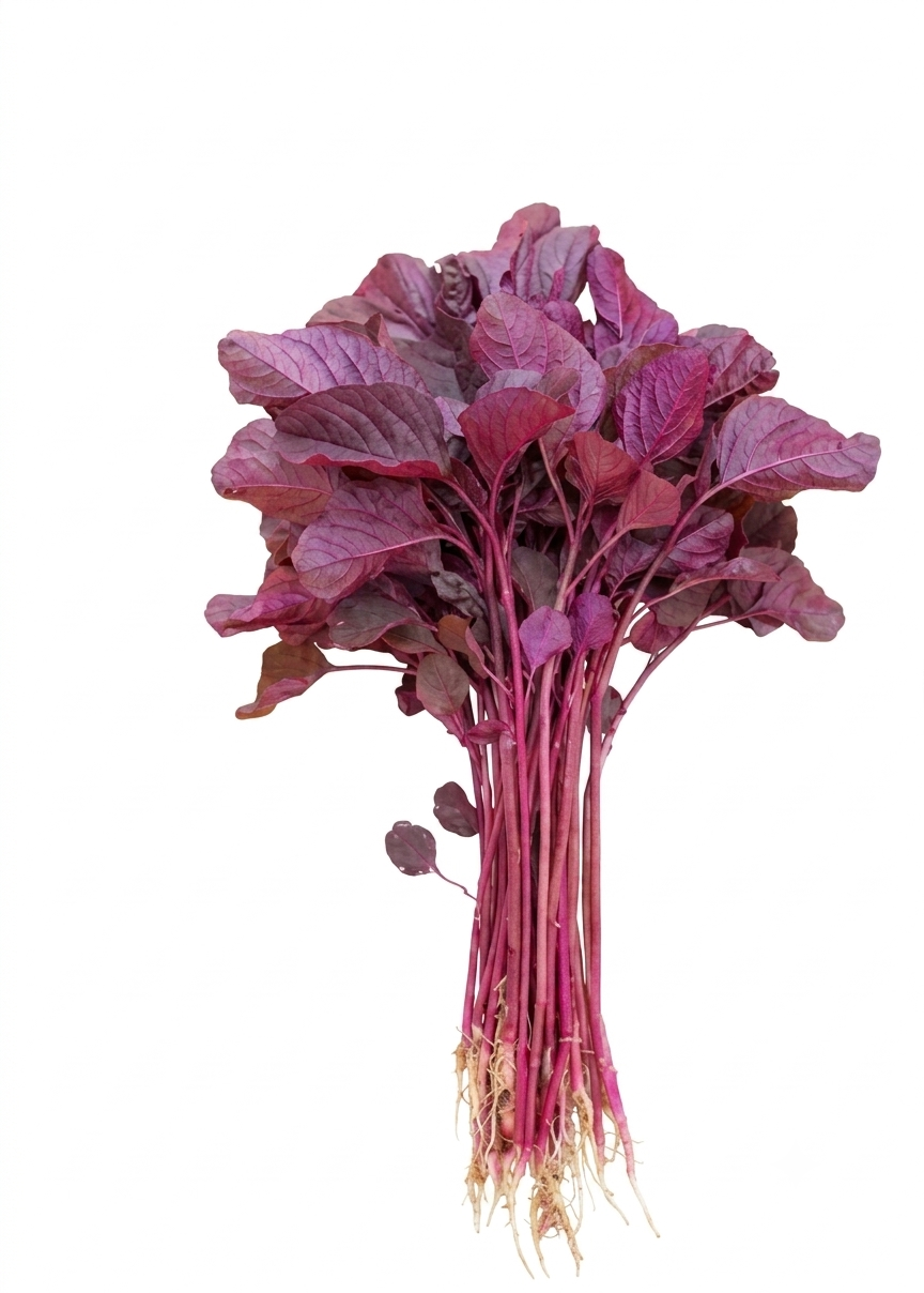 Fresh Lal Saag (Red Amaranth) – Farm Fresh Nutritious Leafy Vegetable