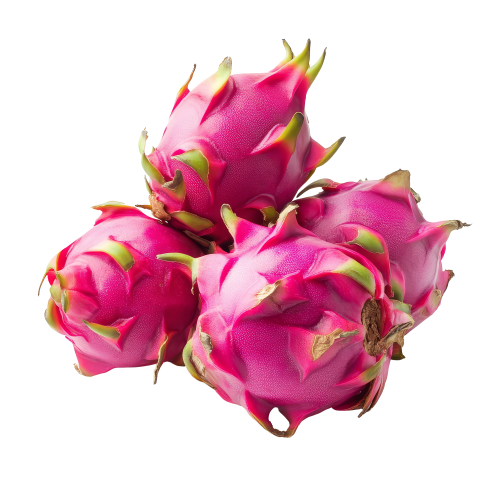 Premium Dragon Fruit – Exotic, Refreshing & Nutrient-Rich