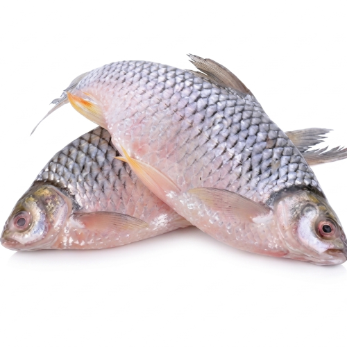 Fresh Puti Fish – Small Freshwater Fish, Rich in Protein & Calcium