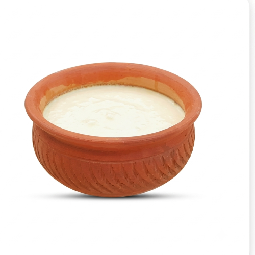 Fresh Tok Doi – Creamy Traditional Bengali Plain Curd