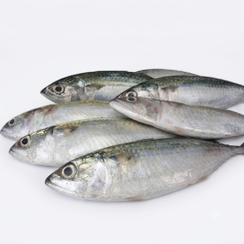 Fresh Fesha Fish – Tender, Flavourful & Rich in Protein