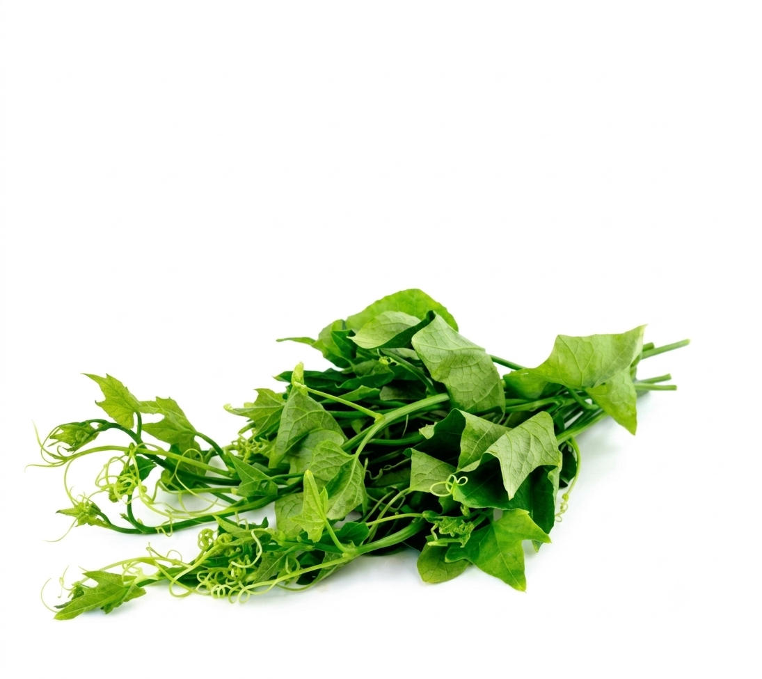 Fresh Lau Saag – Farm Fresh Bottle Gourd Leaves & Tender Shoots