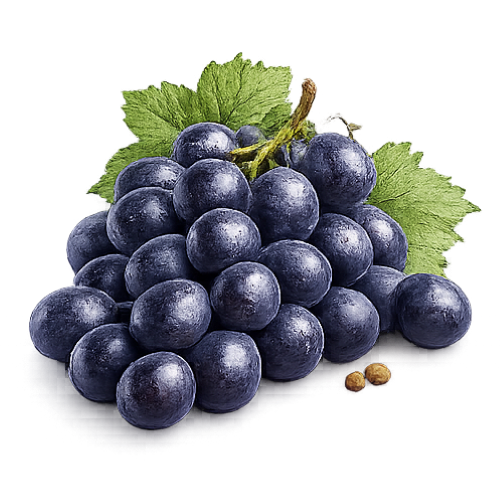 Premium Black Grapes – Sweet, Juicy & Rich in Antioxidants