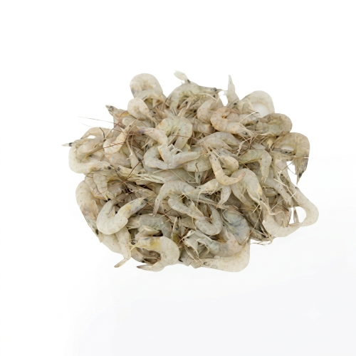 Fresh Small Chingri – Tender, Flavourful & Rich in Protein