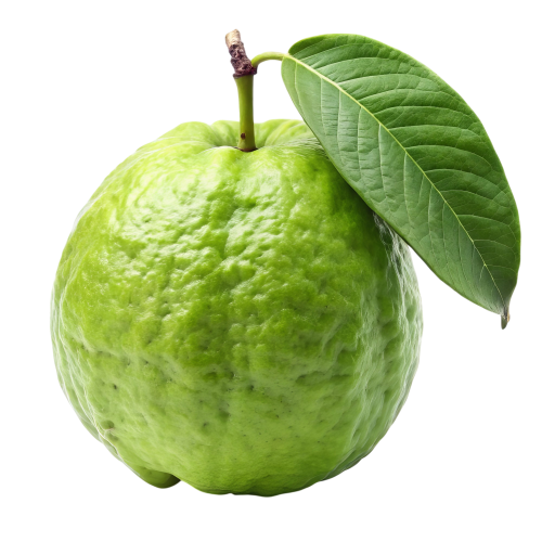 Farm Fresh Guava – Sweet, Juicy & Rich in Vitamin C