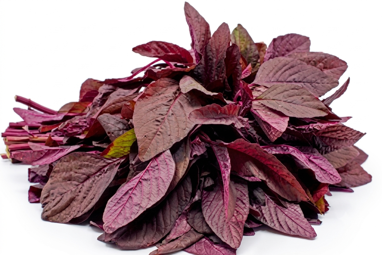 Fresh Lal Saag (Red Amaranth) – Farm Fresh Nutritious Leafy Vegetable
