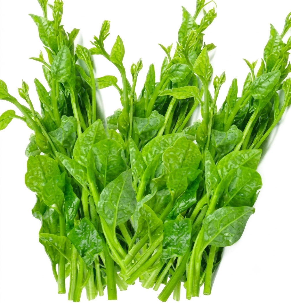 Fresh Pui Saag – Farm Fresh Malabar Spinach Leafy Vegetable