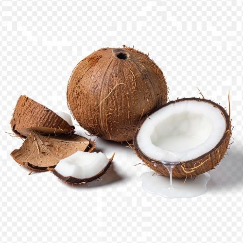 Farm Fresh Coconuts – Naturally Nutritious, Fresh & Versatile