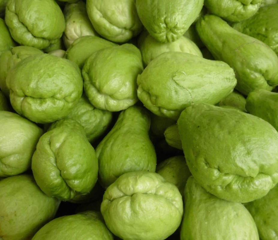 Fresh Squash (Chayote) – Farm Fresh, Tender & Nutritious Vege