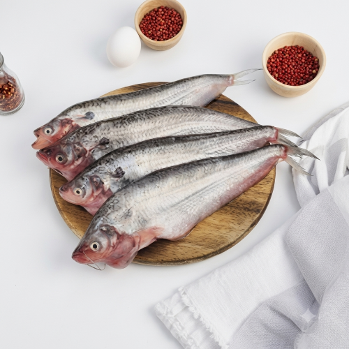 Fresh Pabda Fish – Soft, Delicate & Rich in Protein