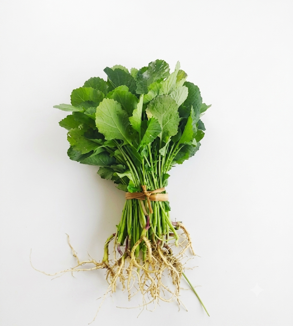 Fresh Sarson Saag – Farm Fresh Mustard Greens for Healthy Cooking