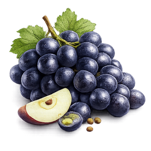 Premium Black Grapes – Sweet, Juicy & Rich in Antioxidants