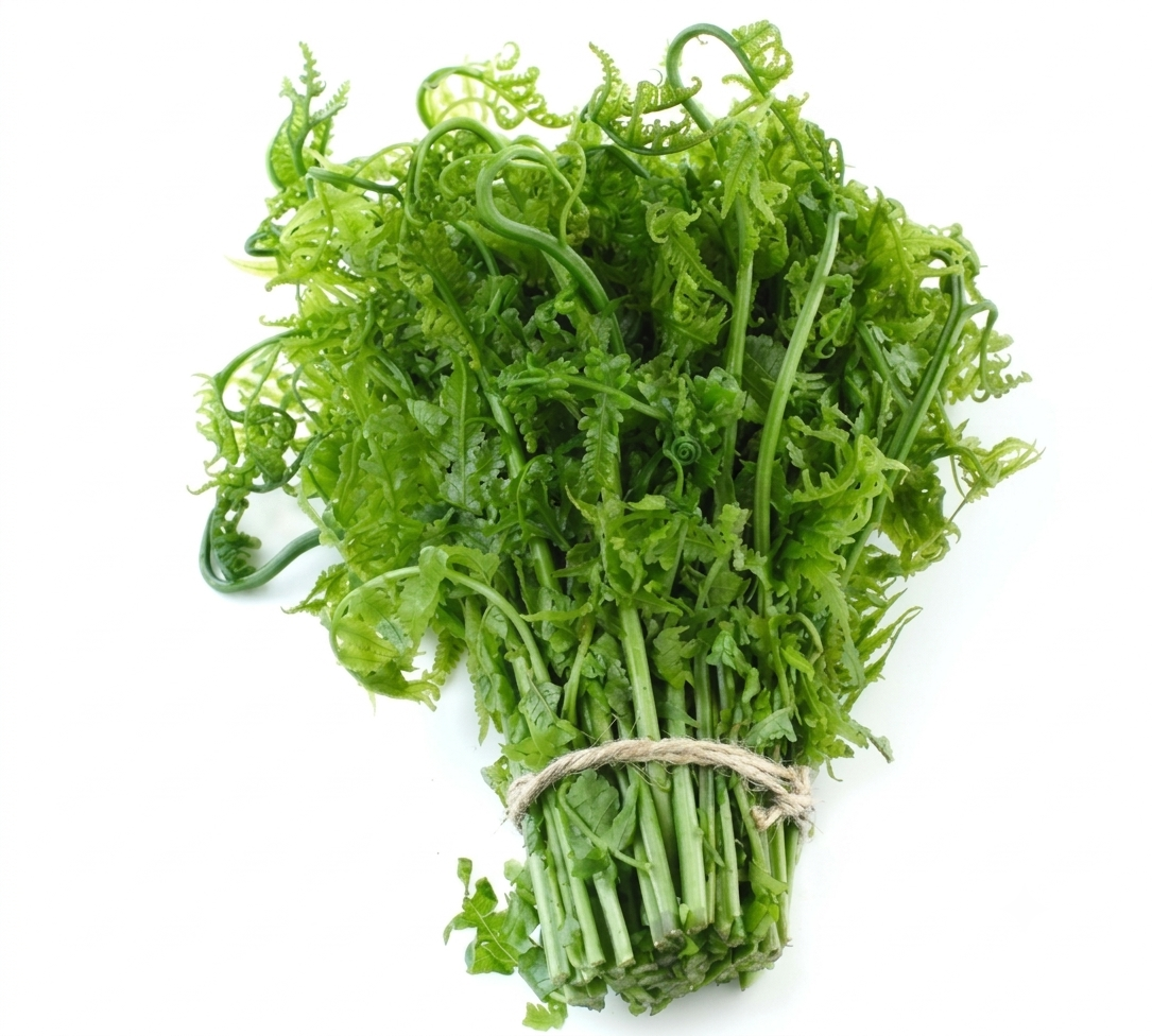 Fresh Dhekia Saag – Farm Fresh Fiddlehead Fern Shoots