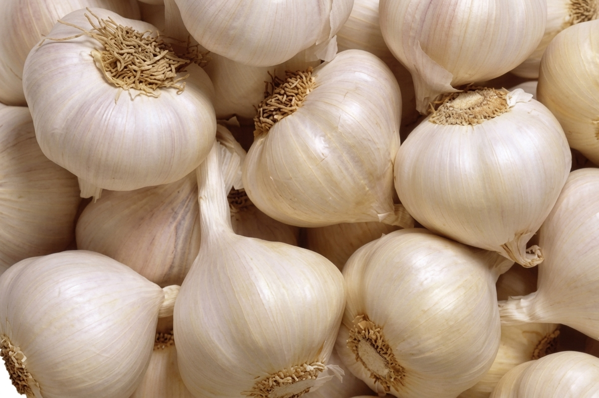 Fresh Rosun (Garlic) – Farm Fresh, Aromatic & Premium Quality