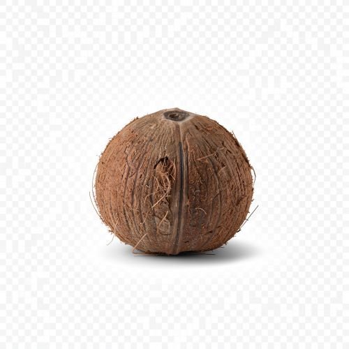 Farm Fresh Coconuts – Naturally Nutritious, Fresh & Versatile