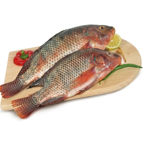 Fresh Tilapia Fish – Farm Fresh, Lean Protein & Great for Everyday Meals