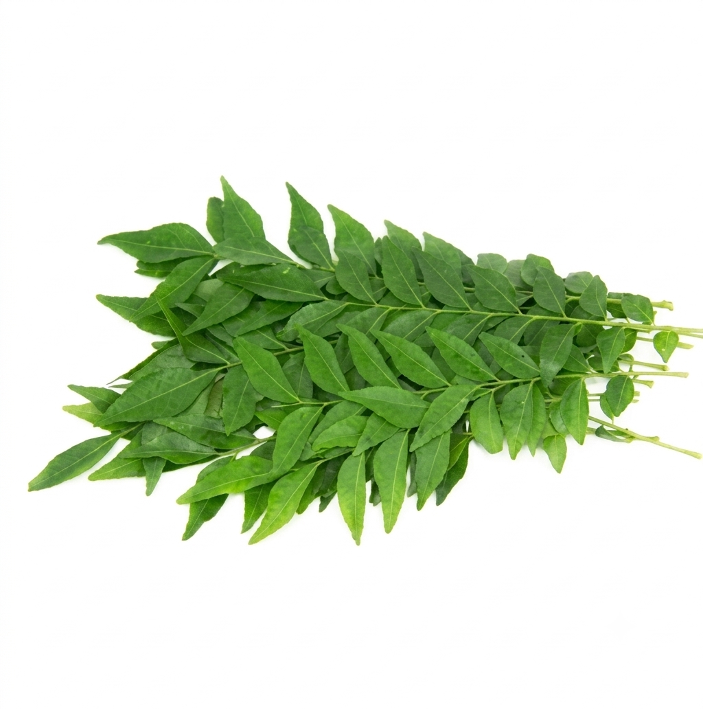 Fresh Curry Leaves (Kadi Patta) – Farm Fresh Aromatic Herb