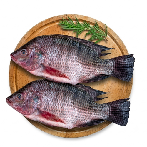 Fresh Tilapia Fish – Farm Fresh, Lean Protein & Great for Everyday Meals