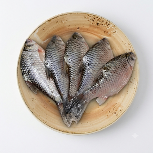 Fresh Puti Fish – Small Freshwater Fish, Rich in Protein & Calcium