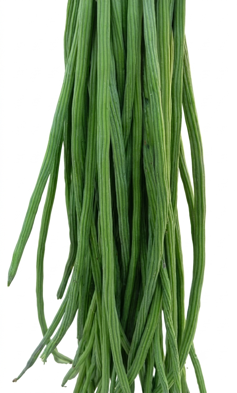 Fresh Sajna (Drumstick) – Farm Fresh, Tender & Nutrient-Rich Vegetable