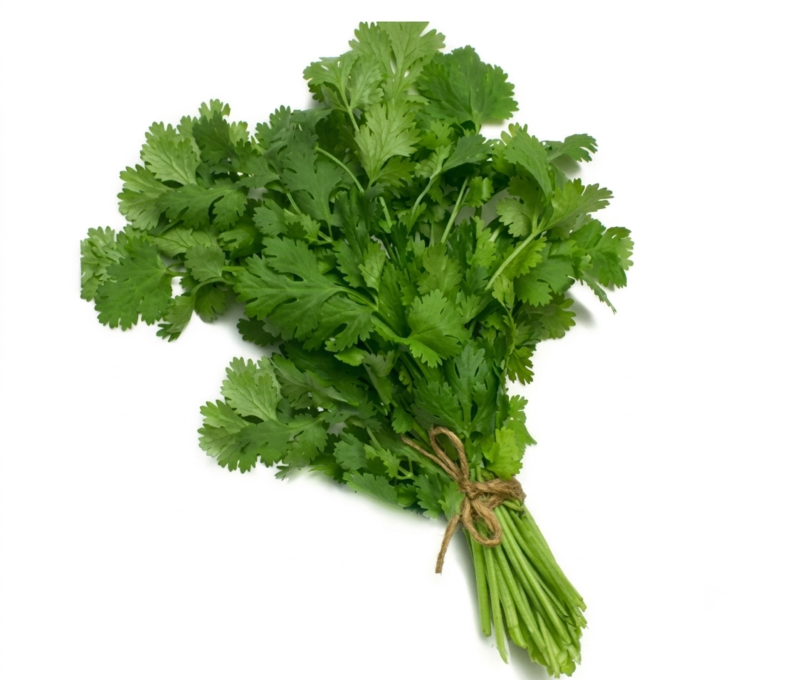 Fresh Dhaniya Pata – Farm Fresh Coriander Leaves for Everyday Cooking